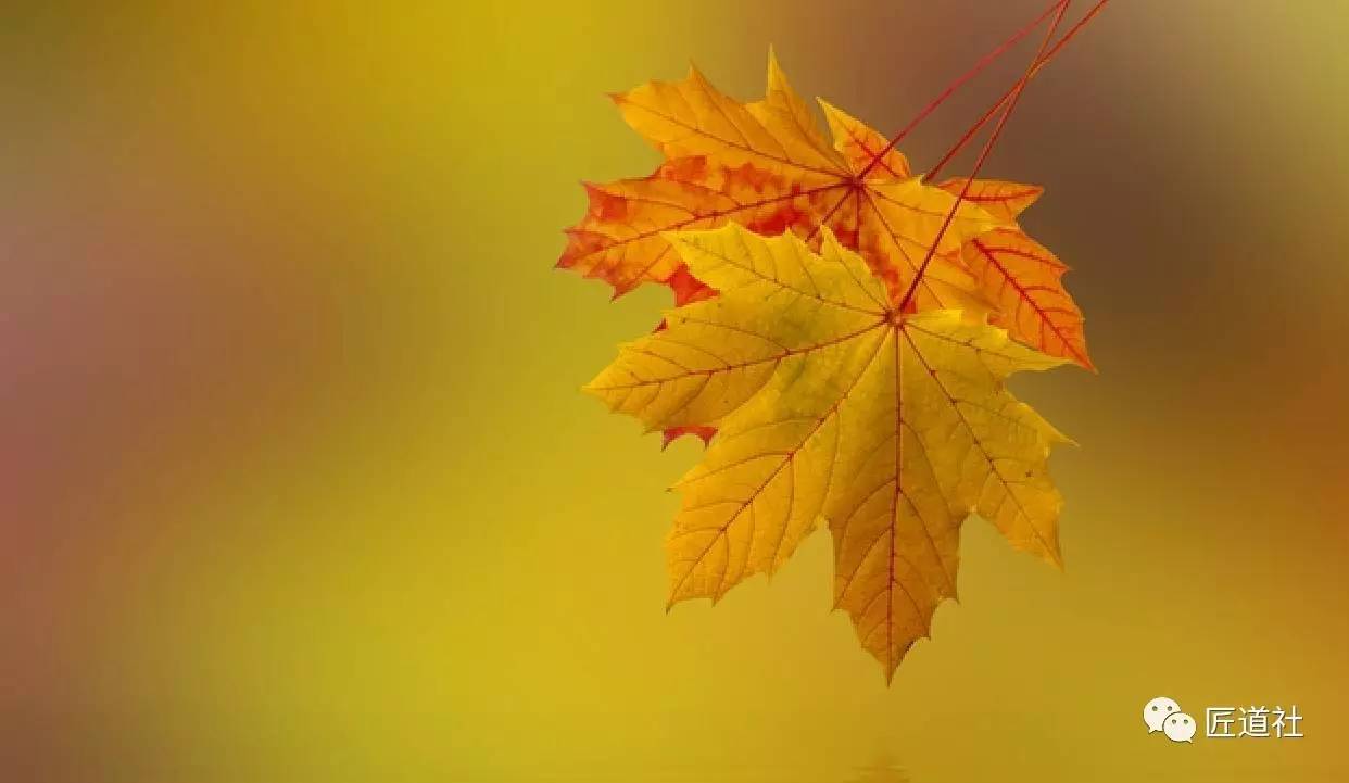 蔣小華：你的品格與修養(yǎng)，為何一看便知？