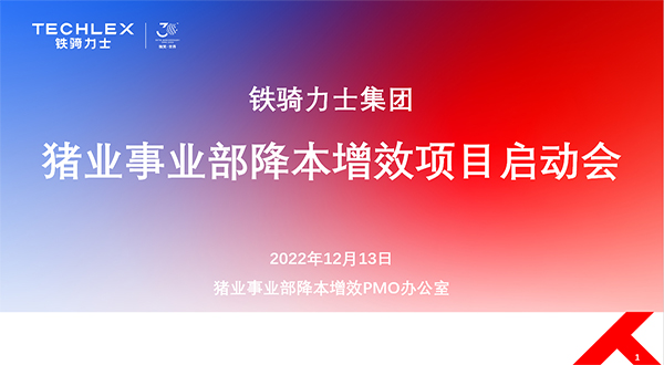 鐵騎力士集團(tuán)降本增效項目啟動 鐵騎力士集團(tuán)降本增效項目啟動