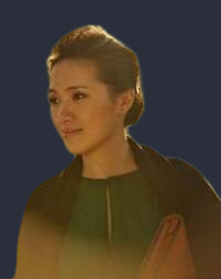 羅海鳴培訓(xùn)講師