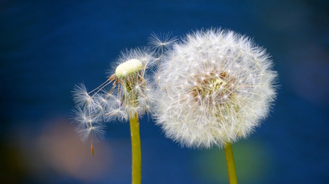 為什么優(yōu)秀員工也開始“摸魚打混”？